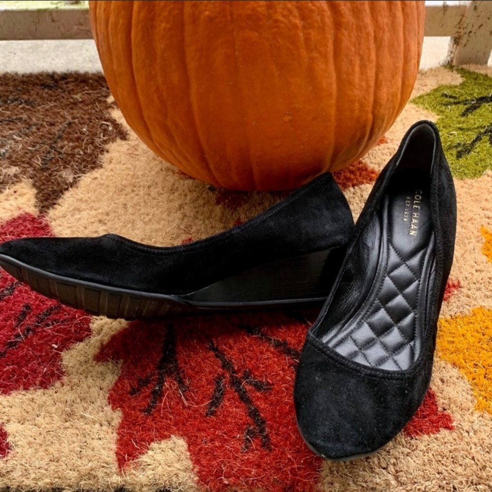 Classic Cole Hann Wedges💼